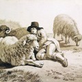 Trois-moutons-avec-leur-berger